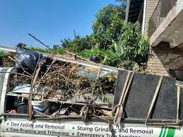Best Yard Waste Removal  in Woodlynne, NJ